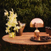 modern gold acrylic dome table lamp
