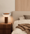 modern walnut frosted glass led table lamp