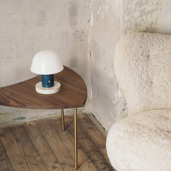 mushroom cordless led table lamp touch control rechargeable