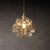 Lighting Ceiling Lights Pendant Lighting_4Zkzr