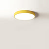 Lighting Ceiling Lights Flush Mount Lighting_3V4Tc