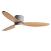 Led Inverter Silent Nordic Light Fan Ceiling Fan With Lamp