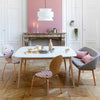 Dolkie Suspended lights
