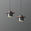 scandinavian brass walnut dome pendant light