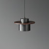 scandinavian brass walnut dome pendant light