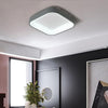 Lighting Ceiling Lights Flush Mount Lighting_4H50X