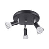 Lighting Ceiling Lights Flush Mount Lighting_4Ss4Z
