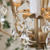traditional gold crystal iron 3 light chandelier