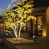 Waterproof Rgb Outdoor Solar Spot Light