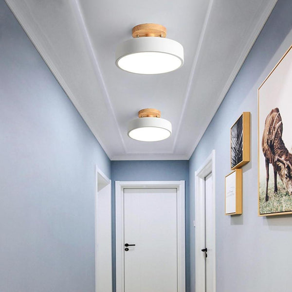 Lighting Ceiling Lights Flush Mount Lighting_4Sfn2