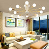 Lighting Ceiling Lights Chandeliers_490Bo